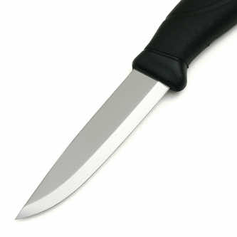 Изображение «Companion Black» 2