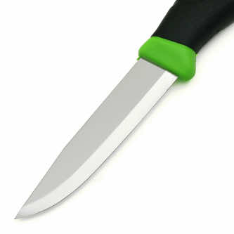 Изображение «Companion Green» 2